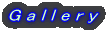 G a l l e r y 